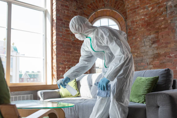 St Maries, ID Mold Removal & Remediation Company